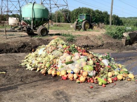 Food waste in pile on ground
