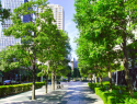 Green City