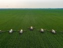 Agriculture