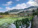 village