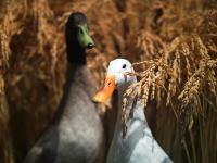 Photo by Andrei Stratu on Unsplash
