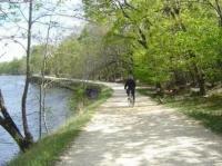 Cyclist on forested path by river
