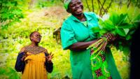世界资源研究所（WRI）执行董事Wanjira Mathai近期发表了关于恢复非洲土地环境的TED演讲