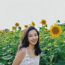 picture-xiaoying.jpg 名称