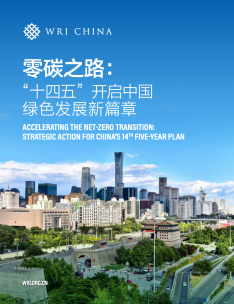 零碳之路： “十四五”开启中国绿色发展新篇章| WRI China