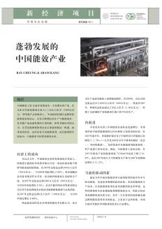 chinas-booming-energy-efficiency-industry-cn.jpg China's Booming Energy Efficiency Industry (Chinese) covershot