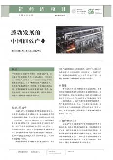 China's Booming Energy Efficiency Industry (Chinese) covershot