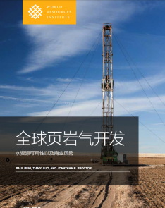 Cover of Shale Gas Report