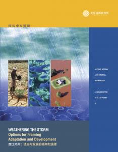 Weathering the Storm (Chinese) covershot