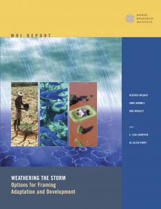Weathering the Storm (English) covershot