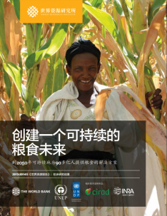 Cover of WRI China Report
