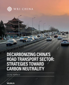 Decarbonizing china