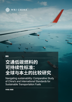 Navigating sustainability: Comparative Study of China’s and International Standards for Sustainable Transportation Fuels