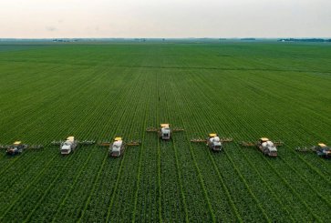 Agriculture