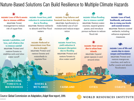 No matter the landscape, countries can use nature-based solutions to build resilience and protect communities from the impacts of climate change. Photo by the Global Commission for Adaptation/WRI