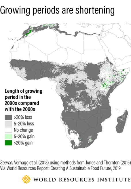 Map of Africa showing projected shortening growing periods