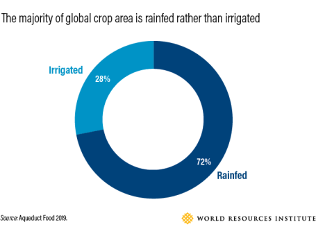 Chart showing the majority of global cropland area is rainfed (72%) rather than irrigated (28%)