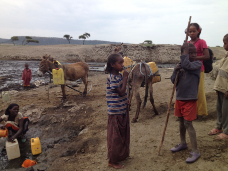 Woman collecting water with children and donkeys