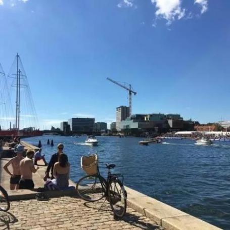 哥本哈根居民在水边聊天游泳，图片来自冯婧