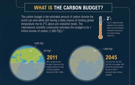 What is the carbon budget?
