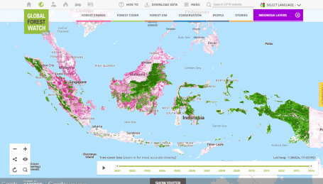 Map showing tree cover loss in Indonesia