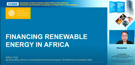 WRI线上分享如何推动私营资本参与非洲可再生能源投资