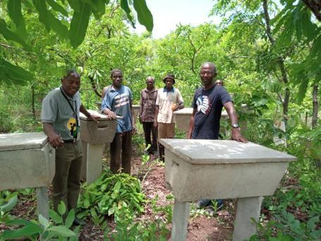 Sadik和Tilaa有限公司的成员在腰果树林中与蜂箱合影，农产品为农民提供了稳定收入，同时改善了加纳正在退化的景观