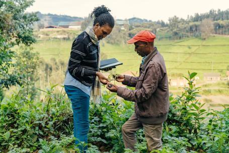 ​  ARCOS帮助卢旺达的小规模农民保护和恢复景观  ​