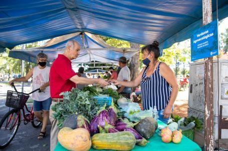 罗萨里奥市居民们在市场里购买本地农产品。这种市场模式得益于 “菜园公园”，改变了社区土地用途。