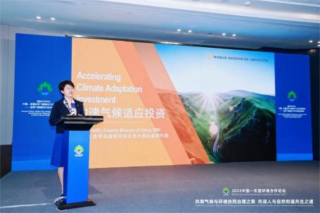 WRI中国首席代表方莉发表演讲 | 图源：2023年中国-东盟环境合作论坛