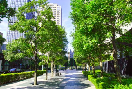 Green City