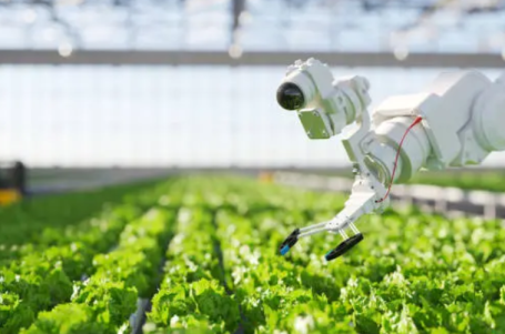 Agriculture