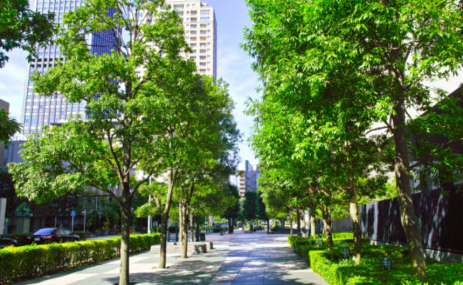 Green City