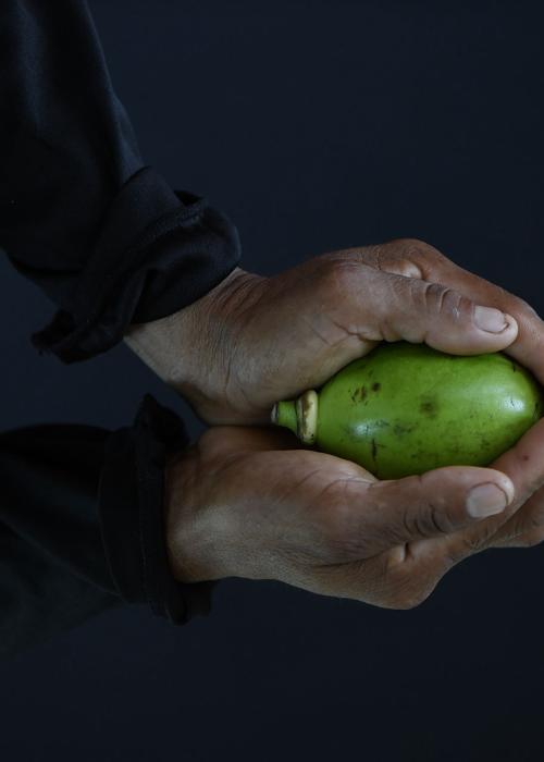 FOLU-10.jpeg Woman holding a fruit.